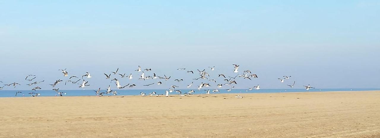 Appartement En El Parque Natural Del Cabo De Gata Almería